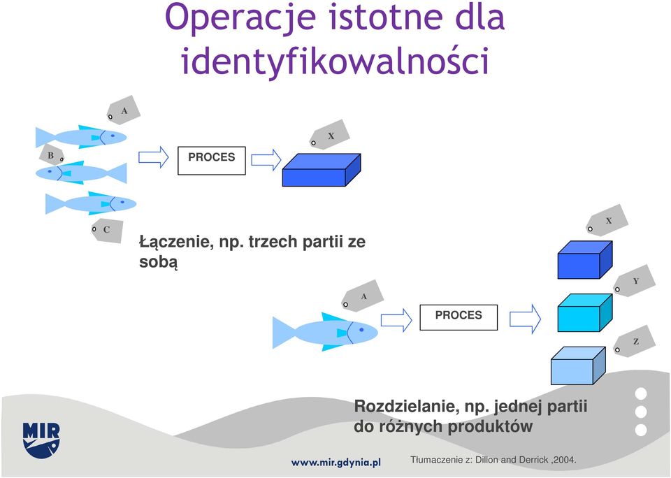 trzech partii ze sobą A PROCES X Y Z