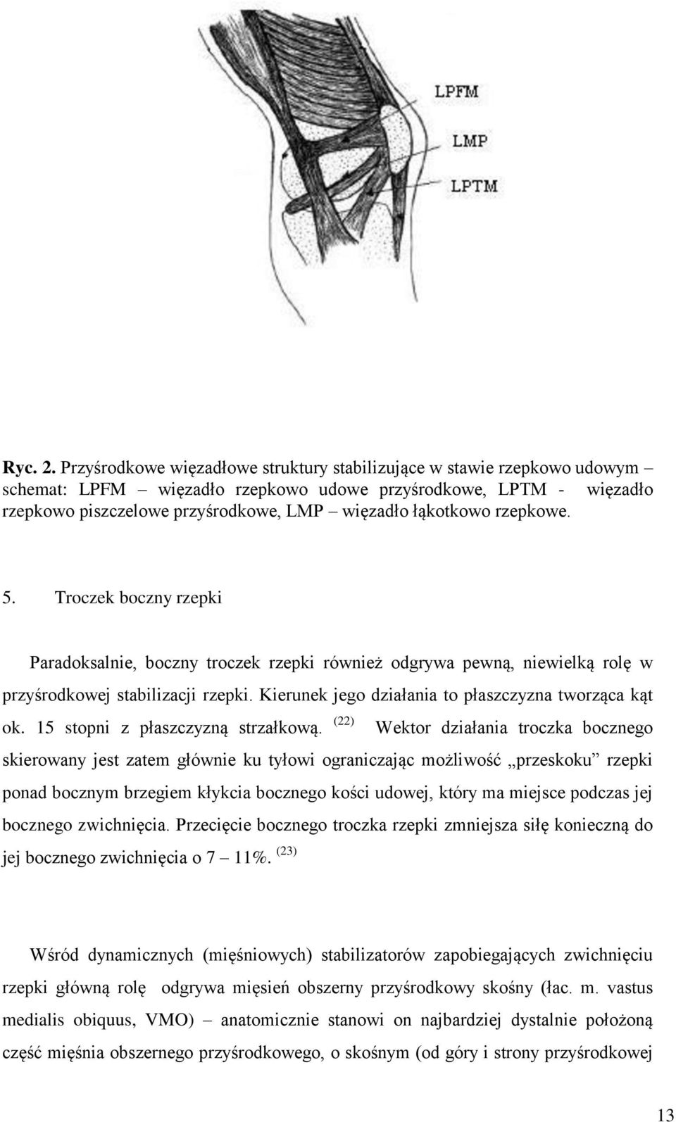 rzepkowe. 5. Troczek boczny rzepki Paradoksalnie, boczny troczek rzepki również odgrywa pewną, niewielką rolę w przyśrodkowej stabilizacji rzepki.