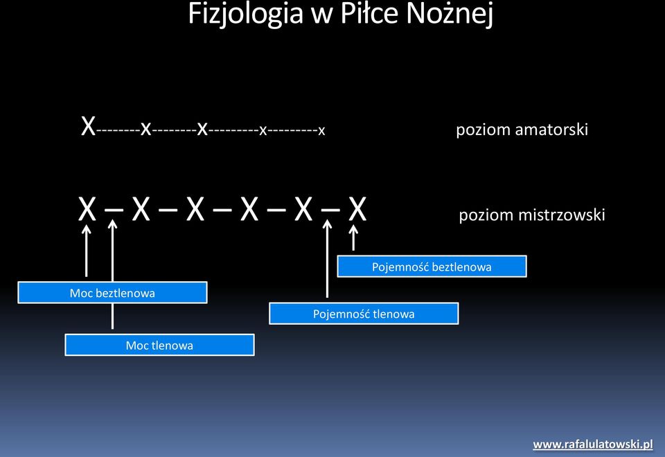 poziom amatorski X X X X X X poziom