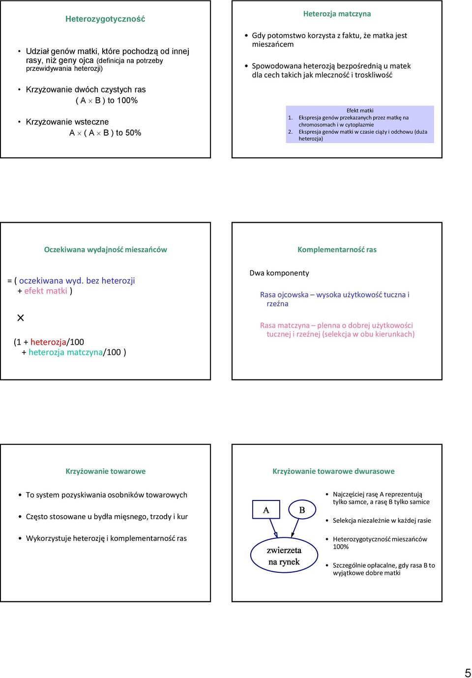 Ekspresja genów przekazanych przez matkę na chromosomach i w cytoplazmie 2. Ekspresja genów matki w czasie ciąży i odchowu (duża heterozja) Oczekiwana wydajność mieszańców = ( oczekiwana wyd.