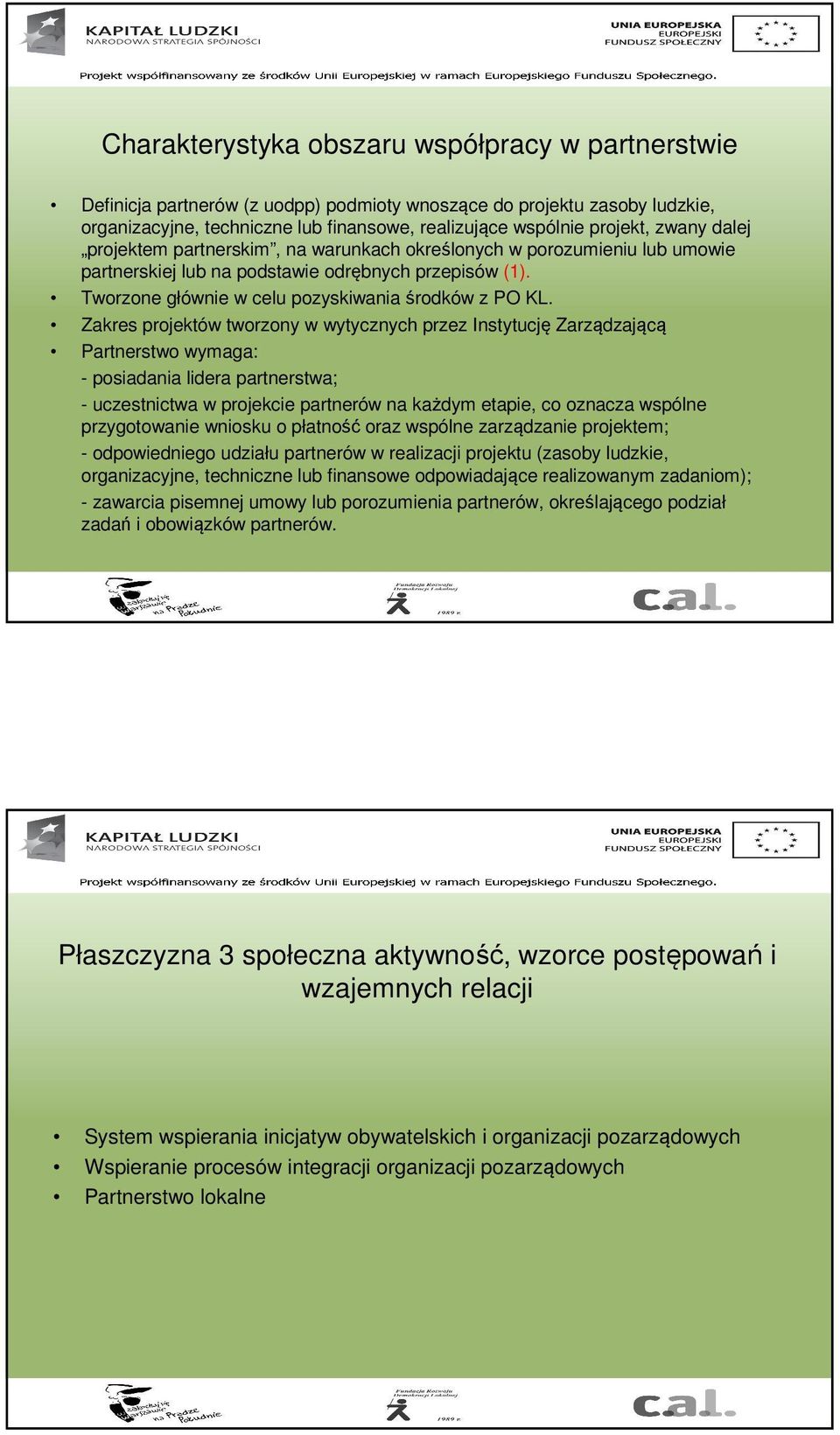 Zakres projektów tworzony w wytycznych przez Instytucję Zarządzającą Partnerstwo wymaga: - posiadania lidera partnerstwa; - uczestnictwa w projekcie partnerów na każdym etapie, co oznacza wspólne