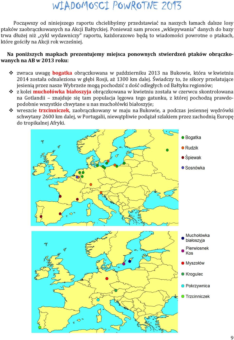 Na poniższych mapkach prezentujemy miejsca ponownych stwierdzeń ptaków obrączkowanych na AB w 2013 roku: zwraca uwagę bogatka obrączkowana w październiku 2013 na Bukowie, która w kwietniu 2014