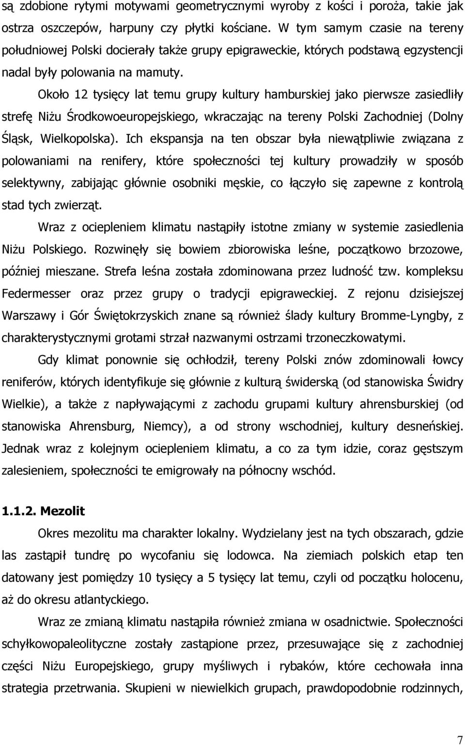 Około 12 tysięcy lat temu grupy kultury hamburskiej jako pierwsze zasiedliły strefę NiŜu Środkowoeuropejskiego, wkraczając na tereny Polski Zachodniej (Dolny Śląsk, Wielkopolska).