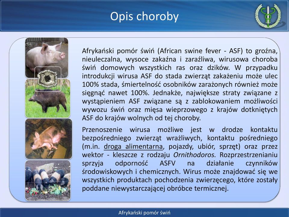 Jednakże, największe straty związane z wystąpieniem ASF związane są z zablokowaniem możliwości wywozu świń oraz mięsa wieprzowego z krajów dotkniętych ASF do krajów wolnych od tej choroby.