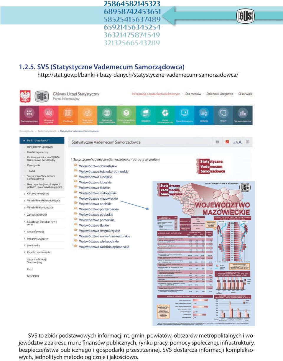 Statystyczne Vademecum Samorządowca Baza organizacji oraz instytucji polskich i polonijnych za granicą Obszary tematyczne Wskaźniki makroekonomiczne Wskaźniki monitorujące Z prac studialnych