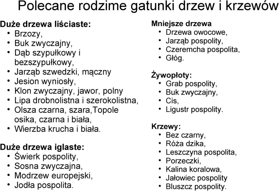 Duże drzewa iglaste: Świerk pospolity, Sosna zwyczajna, Modrzew europejski, Jodła pospolita.