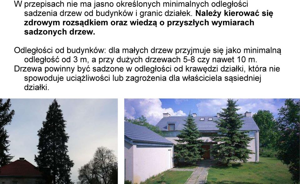 Odległości od budynków: dla małych drzew przyjmuje się jako minimalną odległość od 3 m, a przy dużych drzewach 5-8