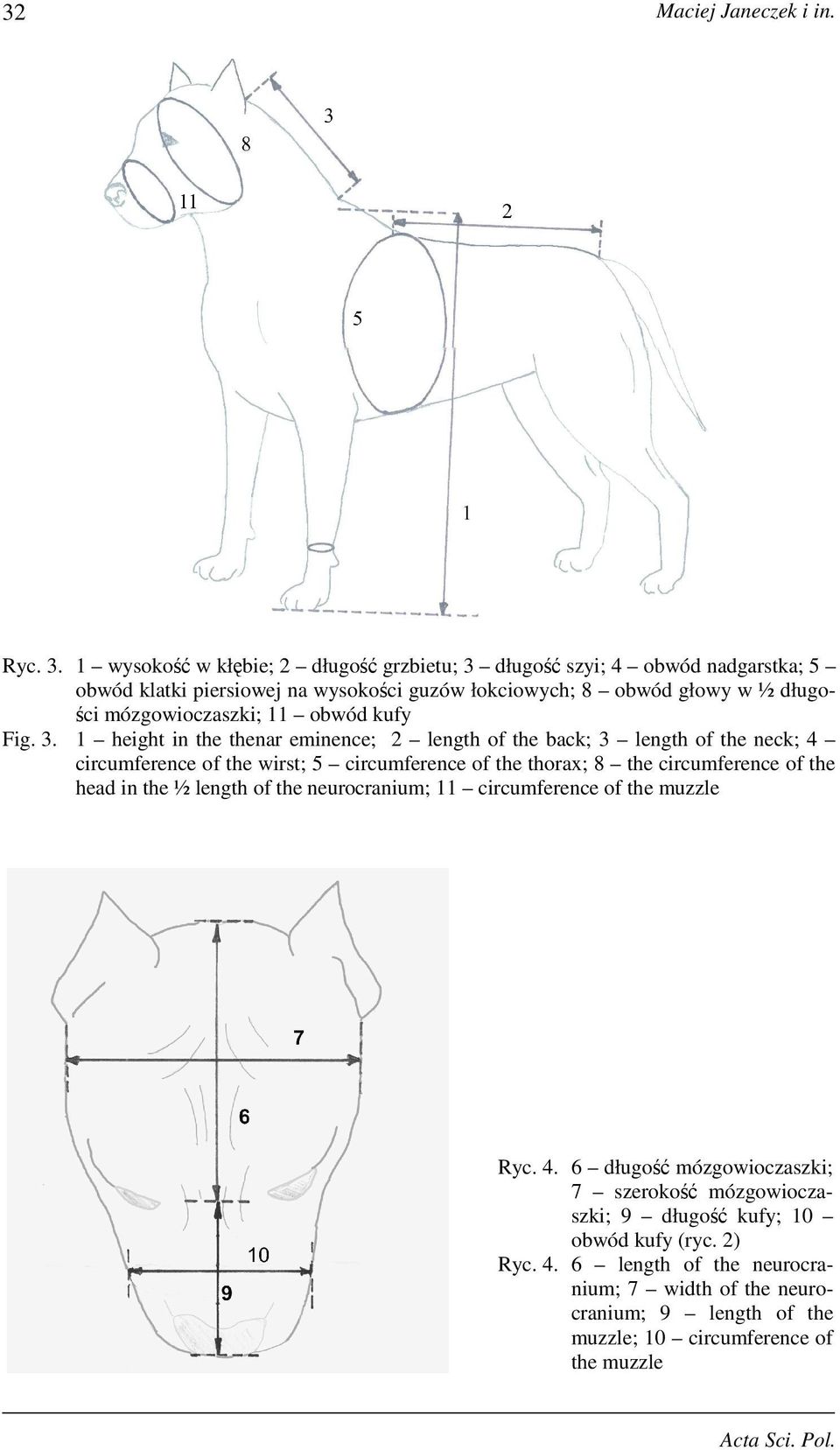 11 obwód kufy Fig. 3.