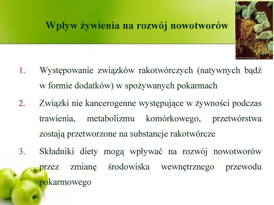 Związki nie kancerogenne występujące w żywności podczas trawienia, metabolizmu komórkowego,