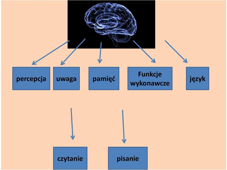 wykonawcze