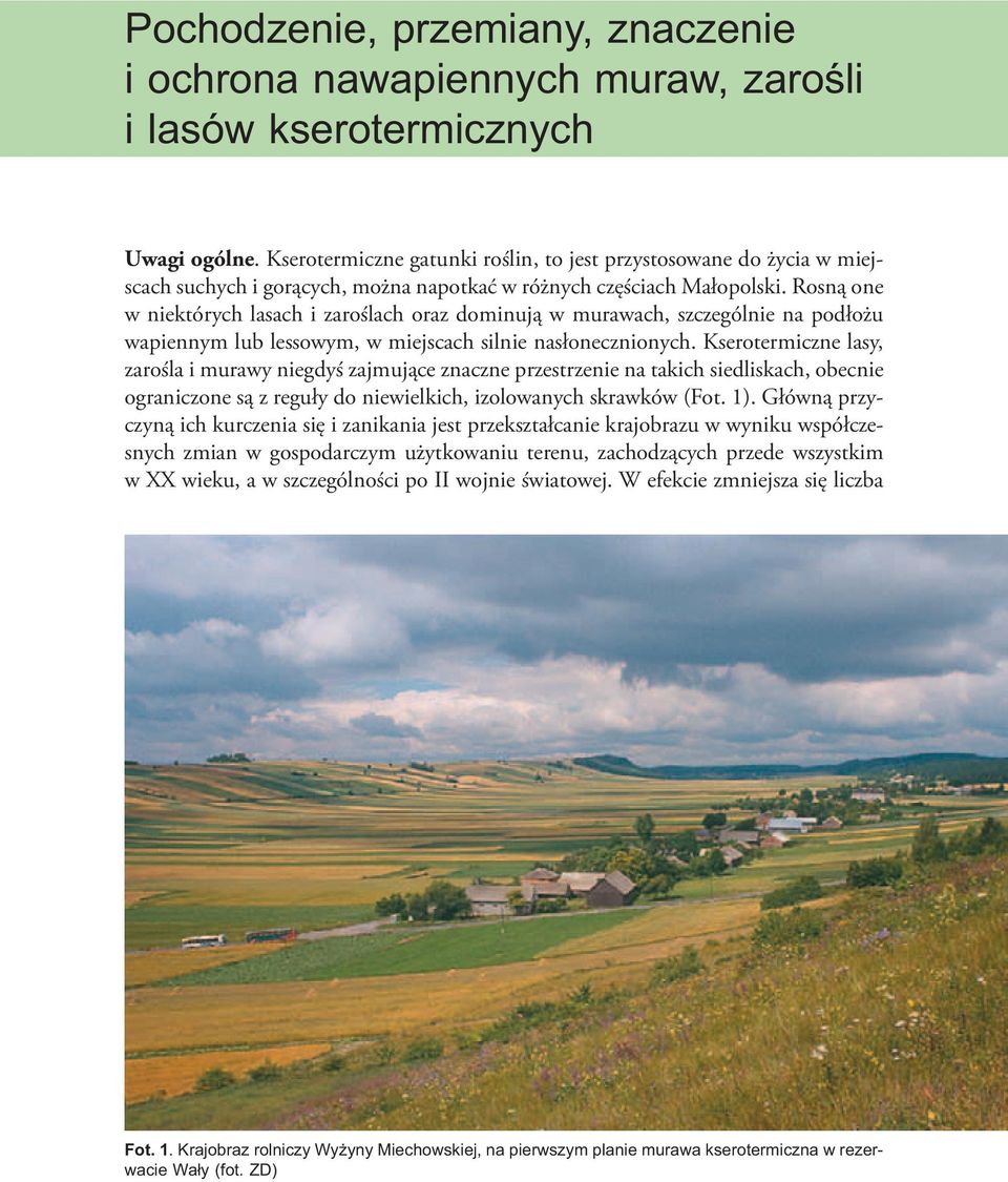 Rosną one w niektórych lasach i zaroślach oraz dominują w murawach, szczególnie na podłożu wapiennym lub lessowym, w miejscach silnie nasłonecznionych.