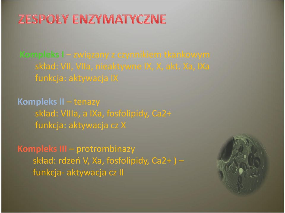 Xa, IXa funkcja: aktywacja IX Kompleks II tenazy skład: VIIIa, a IXa,