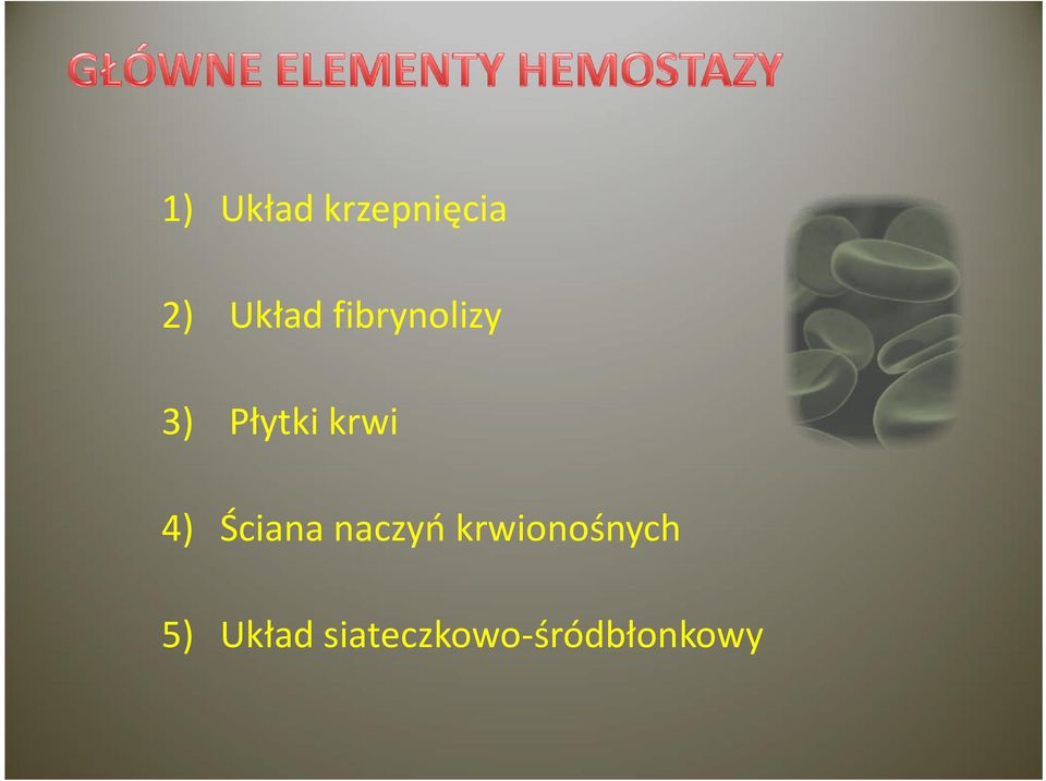 Ściana naczyń krwionośnych 5)