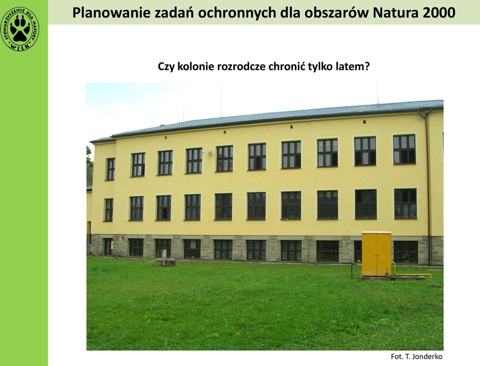 Czy kolonie rozrodcze