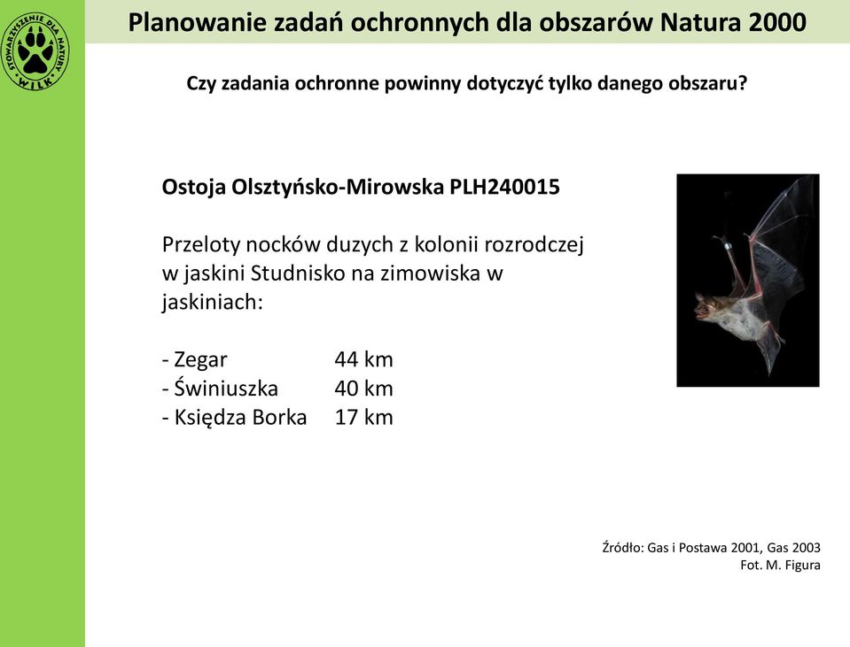 Ostoja Olsztyńsko-Mirowska PLH240015 Przeloty nocków duzych z kolonii rozrodczej w