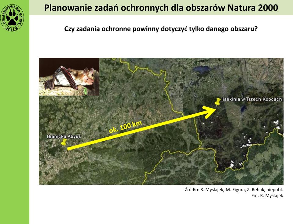 dotyczyć tylko danego obszaru? Źródło: R.