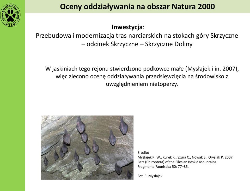 2007), więc zlecono ocenę oddziaływania przedsięwzięcia na środowisko z uwzględnieniem nietoperzy. Źródło: Mysłajek R. W.