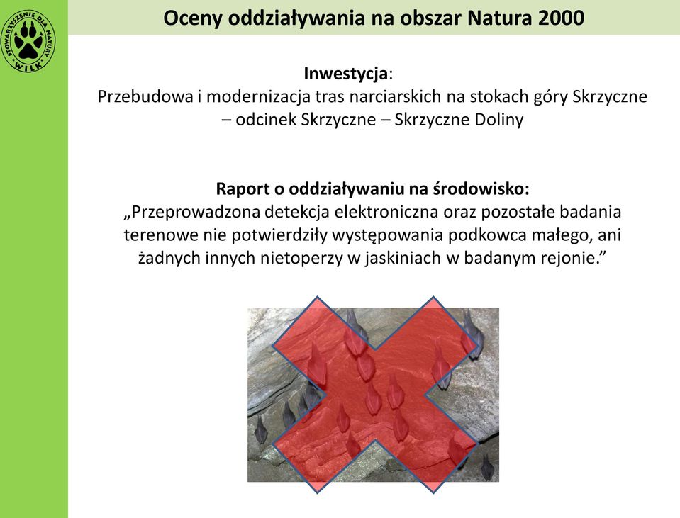 oddziaływaniu na środowisko: Przeprowadzona detekcja elektroniczna oraz pozostałe badania