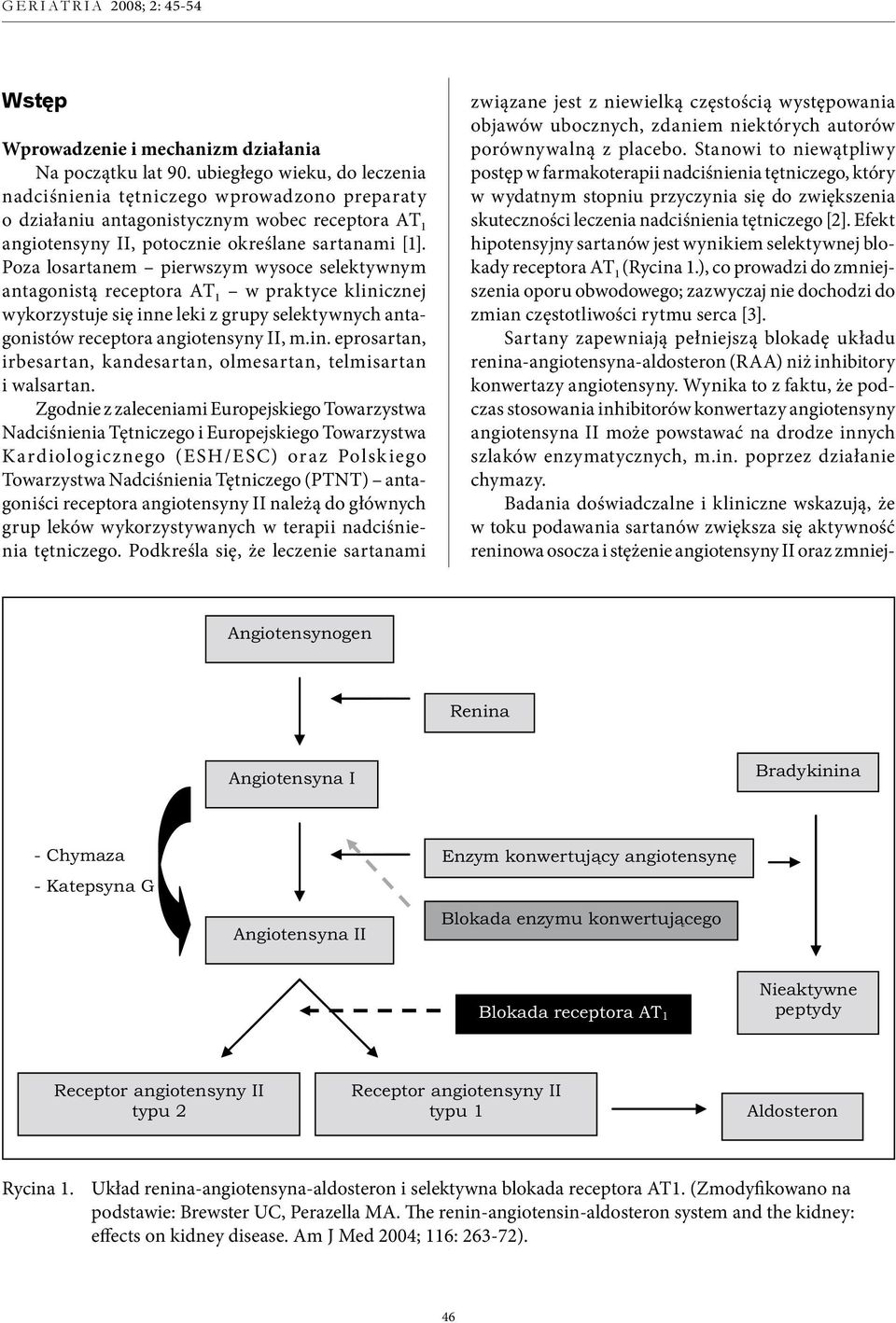 Poza losartanem pierwszym wysoce selektywnym antagonistą receptora AT 1 w praktyce klinicznej wykorzystuje się inne leki z grupy selektywnych antagonistów receptora angiotensyny II, m.in. eprosartan, irbesartan, kandesartan, olmesartan, telmisartan i walsartan.