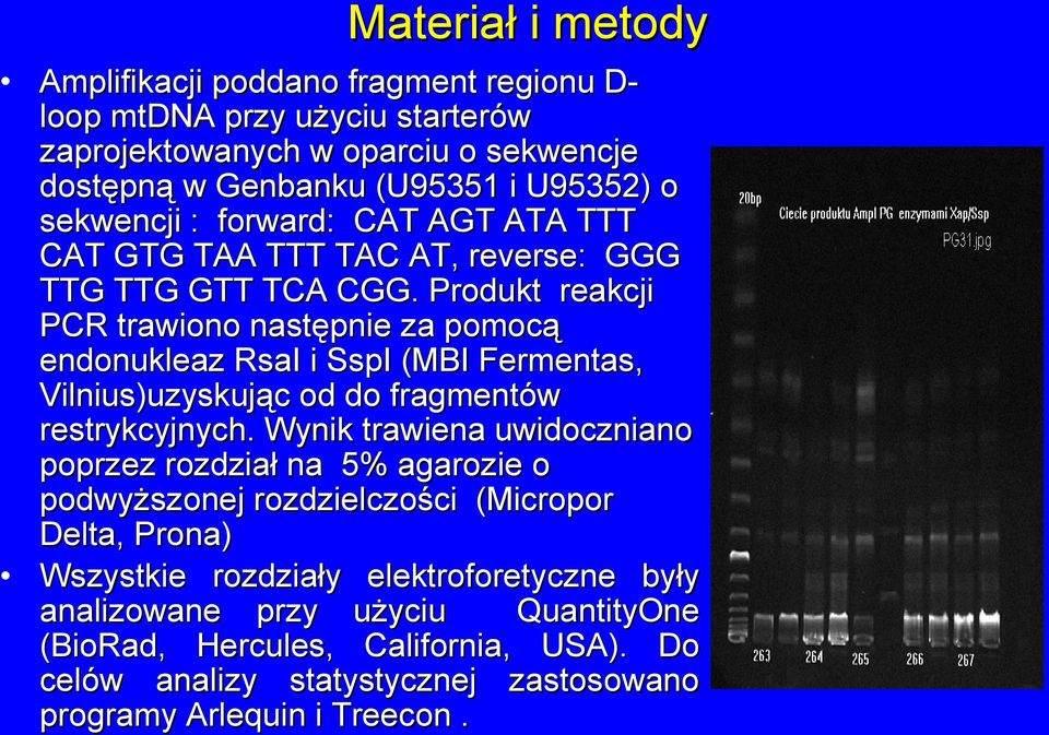 Produkt reakcji PCR trawiono następnie za pomocą endonukleaz RsaI i SspI (MBI Fermentas, Vilnius)uzyskując od do fragmentów restrykcyjnych.