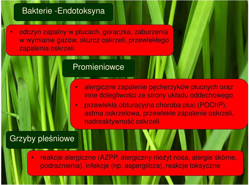 układu oddechowego przewlekła obturacyjna choroba płuc (POChP), astma oskrzelowa, przewlekłe zapalenie oskrzeli,