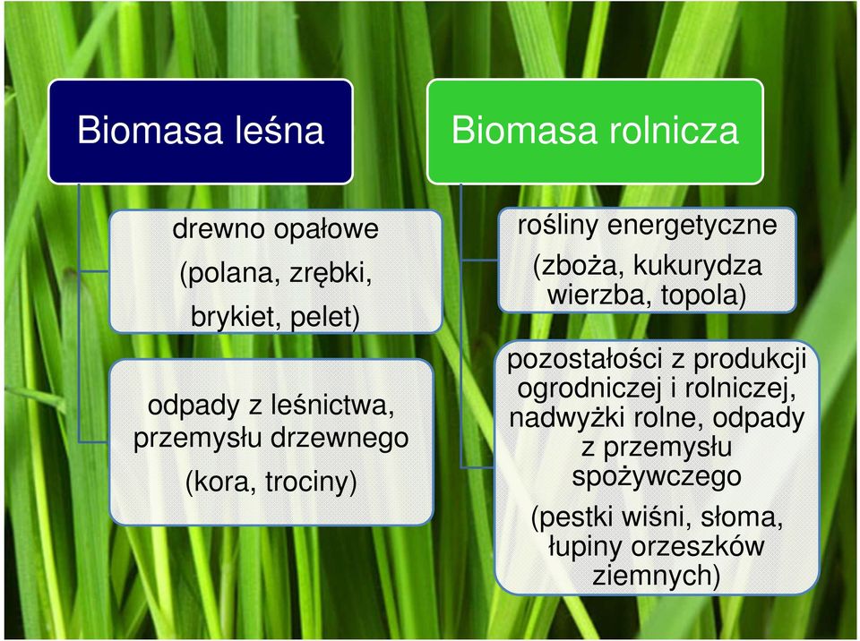 (zboża, kukurydza wierzba, topola) pozostałości z produkcji ogrodniczej i