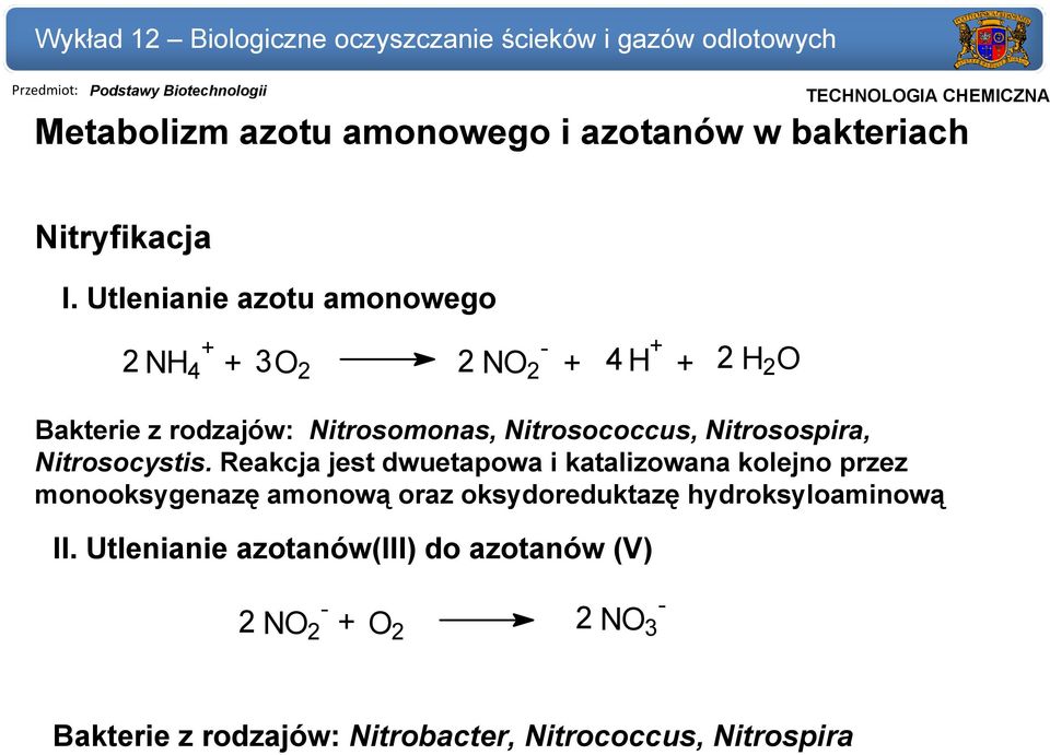 Nitrosococcus, Nitrosospira, Nitrosocystis.