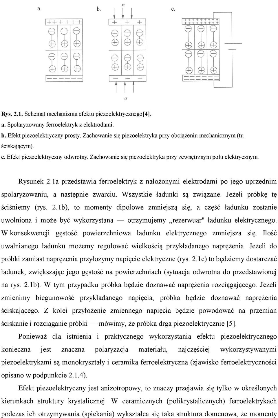 1a przedstawia ferroelektryk z nałożonymi elektrodami po jego uprzednim spolaryzowaniu, a następnie zwarciu. Wszystkie ładunki są związane. Jeżeli próbkę tę ściśniemy (rys. 2.