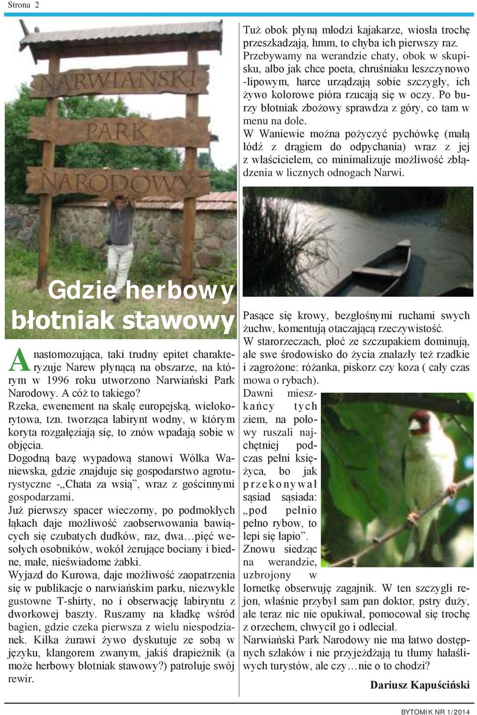 Po burzy błotniak zbożowy sprawdza z góry, co tam w menu na dole.