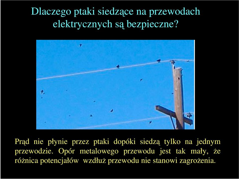 Prąd nie płynie przez ptaki dopóki siedzą tylko na jednym
