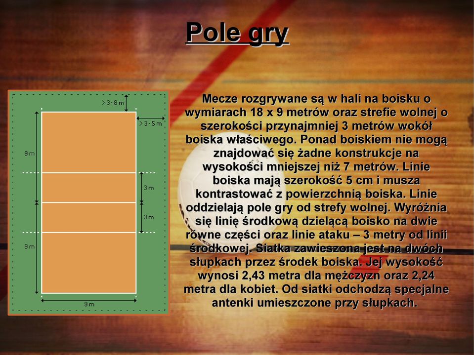 Linie oddzielają pole gry od strefy wolnej. Wyróżnia się linię środkową dzielącą boisko na dwie równe części oraz linie ataku 3 metry od linii środkowej.