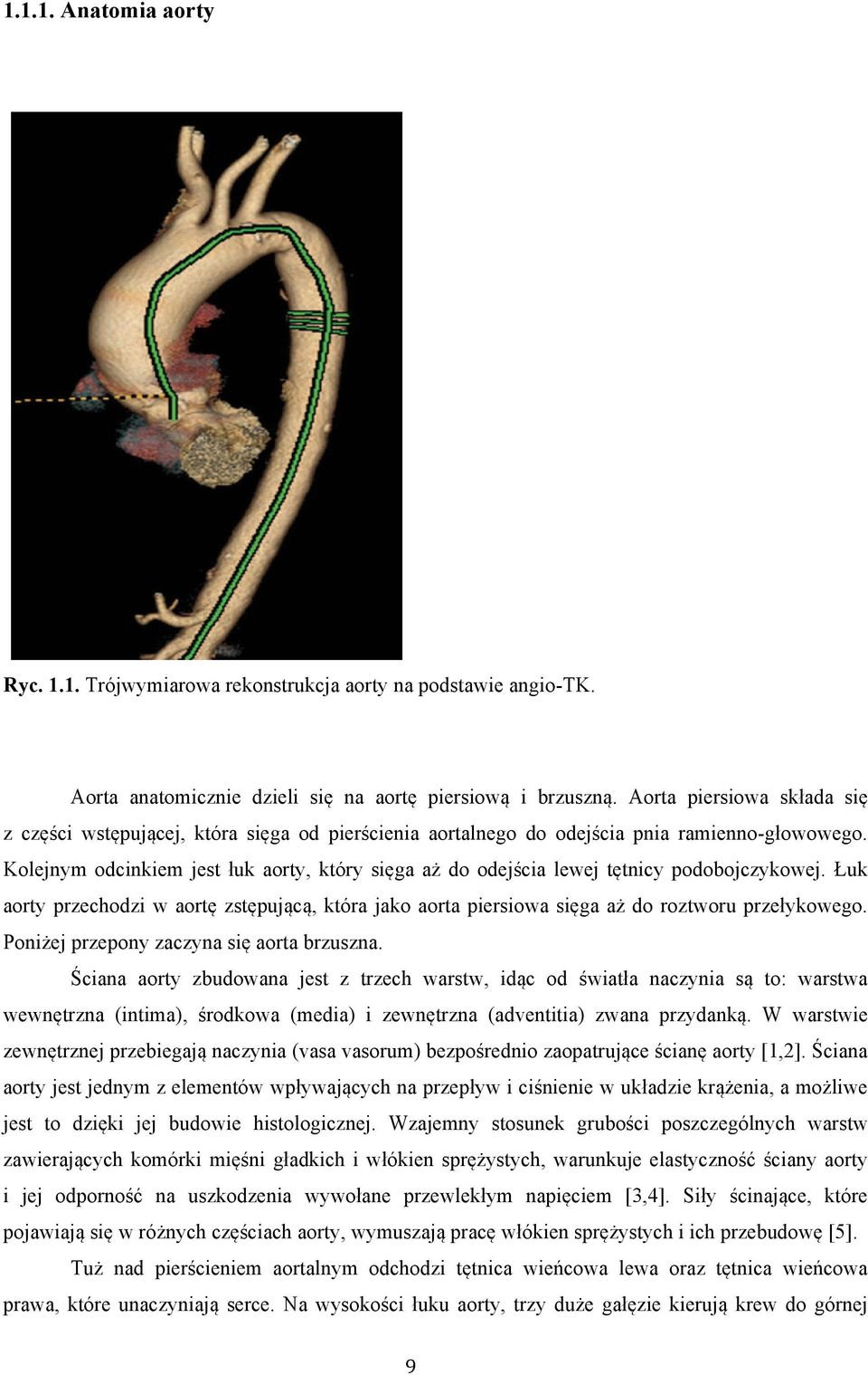 Kolejnym odcinkiem jest łuk aorty, który sięga aż do odejścia lewej tętnicy podobojczykowej. Łuk aorty przechodzi w aortę zstępującą, która jako aorta piersiowa sięga aż do roztworu przełykowego.
