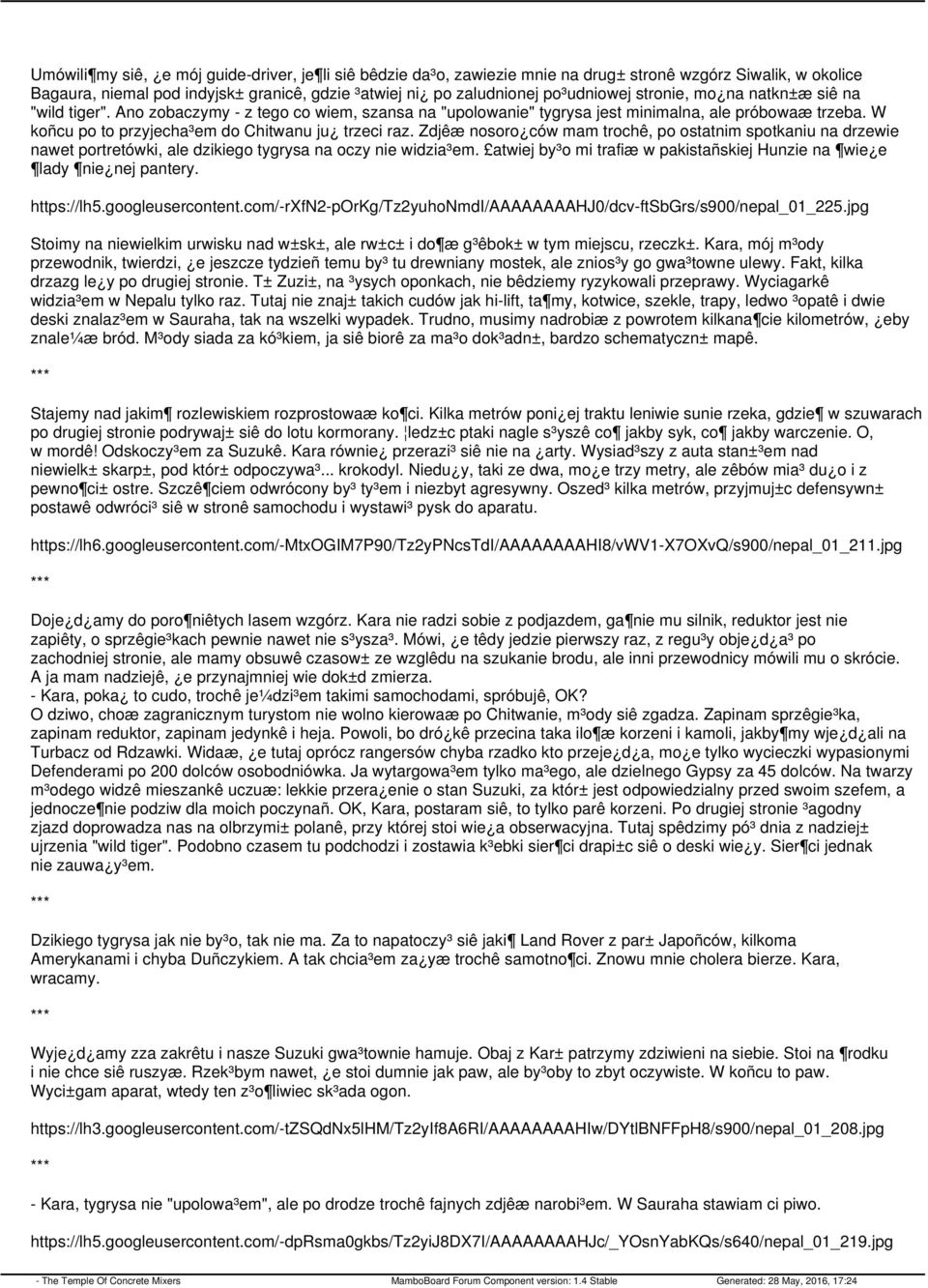 Zdjêæ nosoro ców mam trochê, po ostatnim spotkaniu na drzewie nawet portretówki, ale dzikiego tygrysa na oczy nie widzia³em. atwiej by³o mi trafiæ w pakistañskiej Hunzie na wie e lady nie nej pantery.