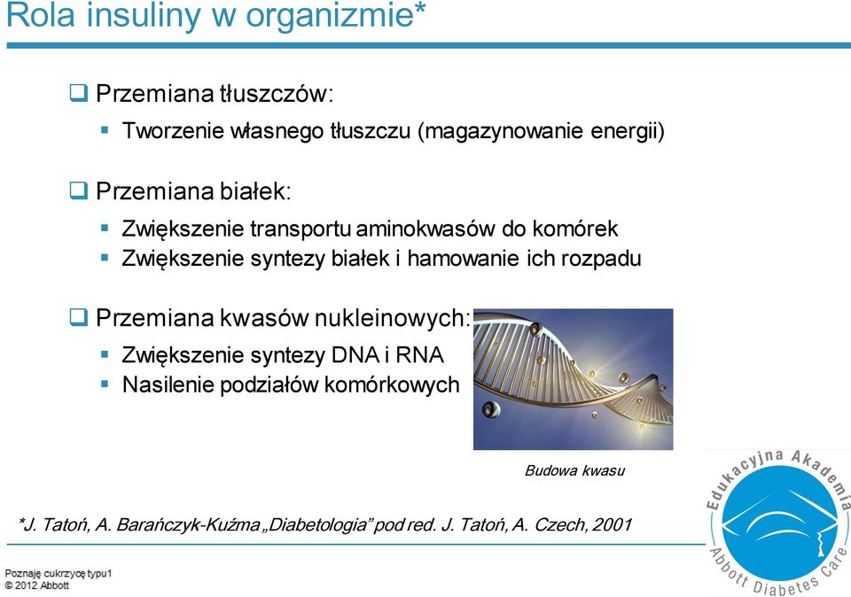 i hamowanie ich rozpadu Przemiana kwasów nukleinowych: Zwiększenie syntezy DNA i RNA Nasilenie