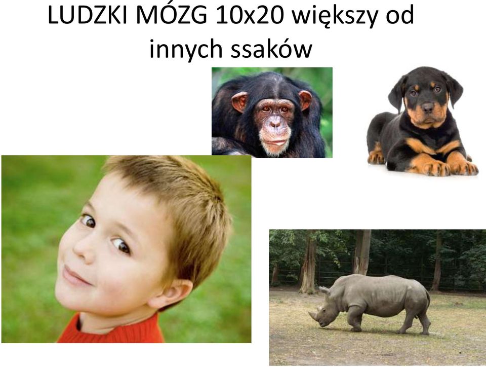 większy od