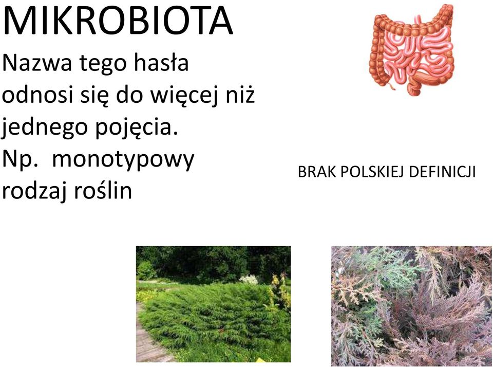 jednego pojęcia. Np.