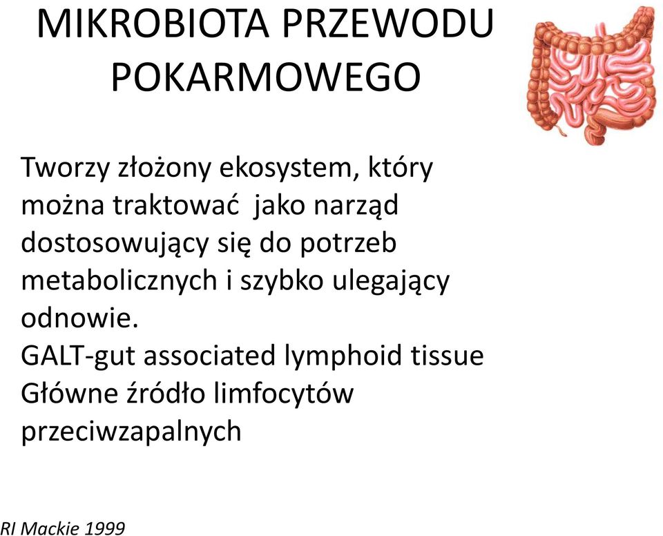 metabolicznych i szybko ulegający odnowie.