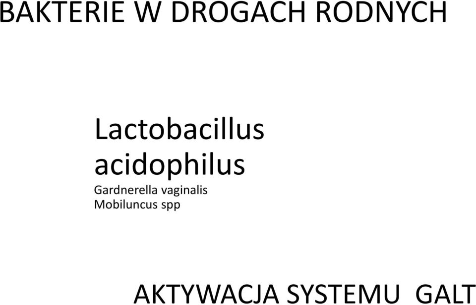 Gardnerella vaginalis