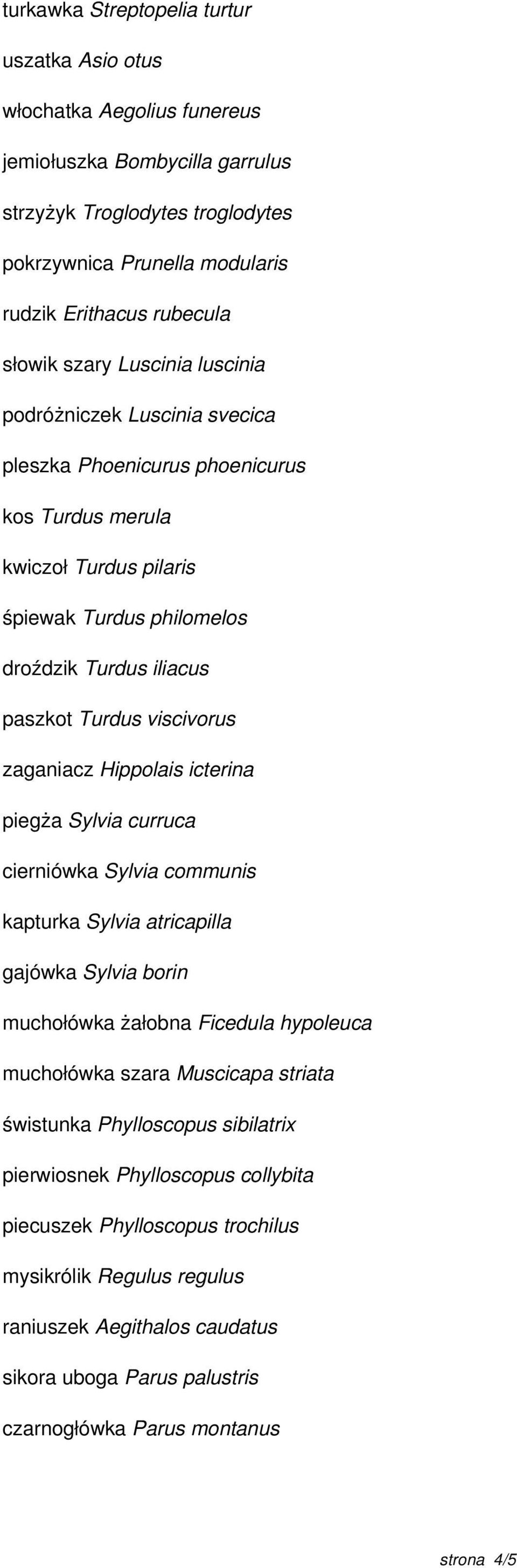 Hipplais icterina piegża Sylvia curruca cierniówka Sylvia cmmunis kapturka Sylvia atricapilla gajówka Sylvia brin muchłówka żałbna Ficedula hypleuca muchłówka szara Muscicapa striata świstunka