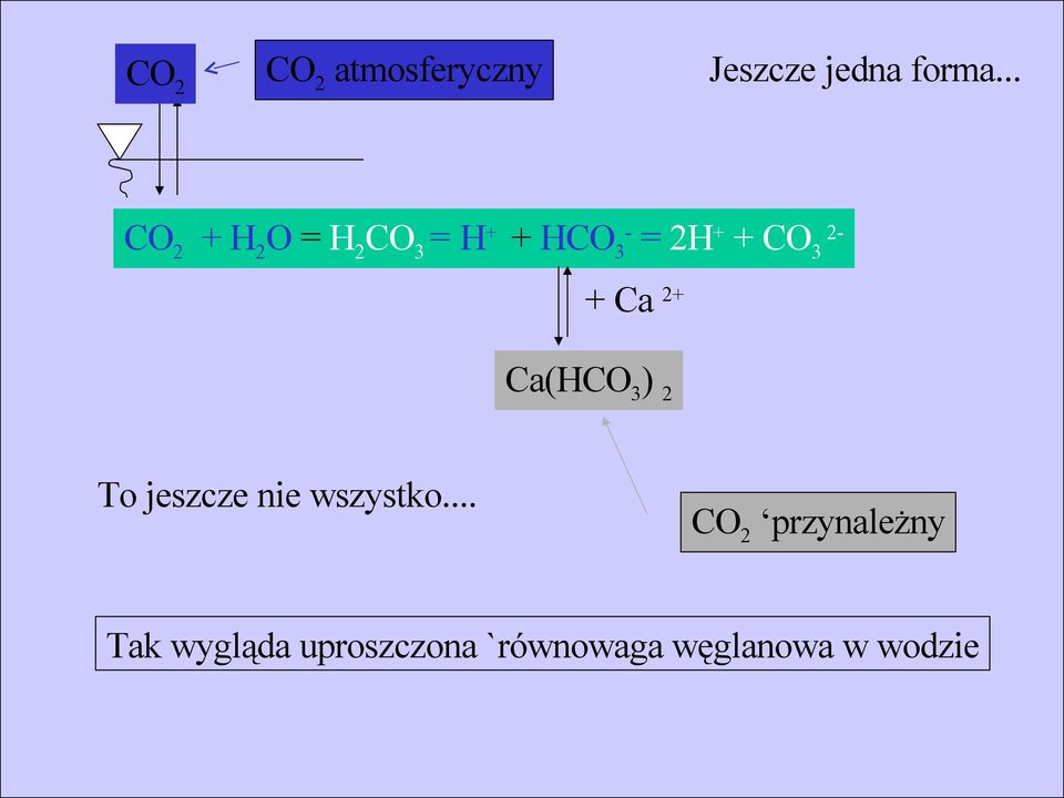 3 2- + Ca 2+ Ca(HCO 3 ) 2 To jeszcze nie wszystko.