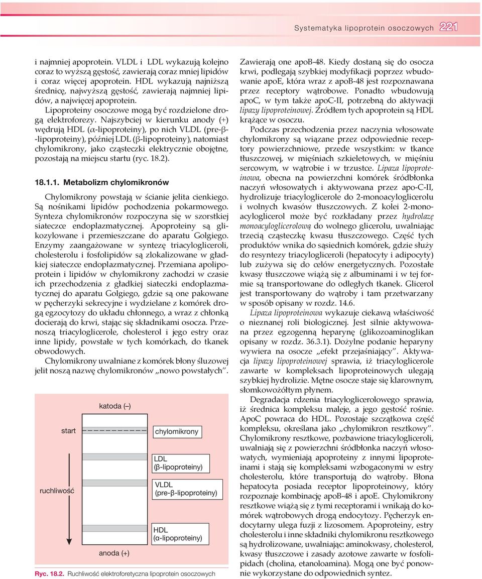 Najszybciej w kierunku anody (+) wędrują HDL (α-lipoproteiny), po nich VLDL (pre-β- -lipoproteiny), później LDL (β-lipoproteiny), natomiast chylomikrony, jako cząsteczki elektrycznie obojętne,