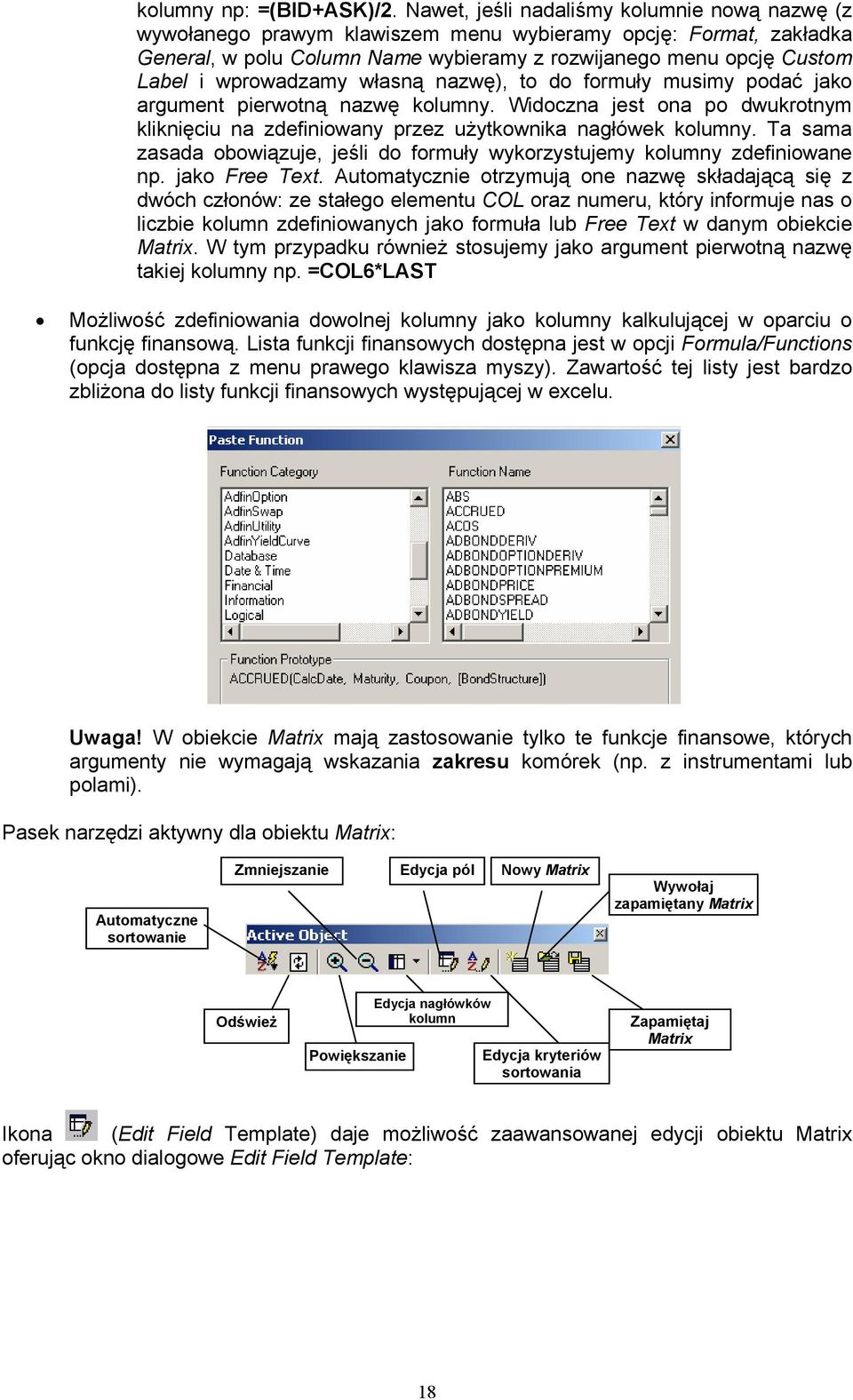 wprowadzamy własną nazwę), to do formuły musimy podać jako argument pierwotną nazwę kolumny. Widoczna jest ona po dwukrotnym kliknięciu na zdefiniowany przez użytkownika nagłówek kolumny.