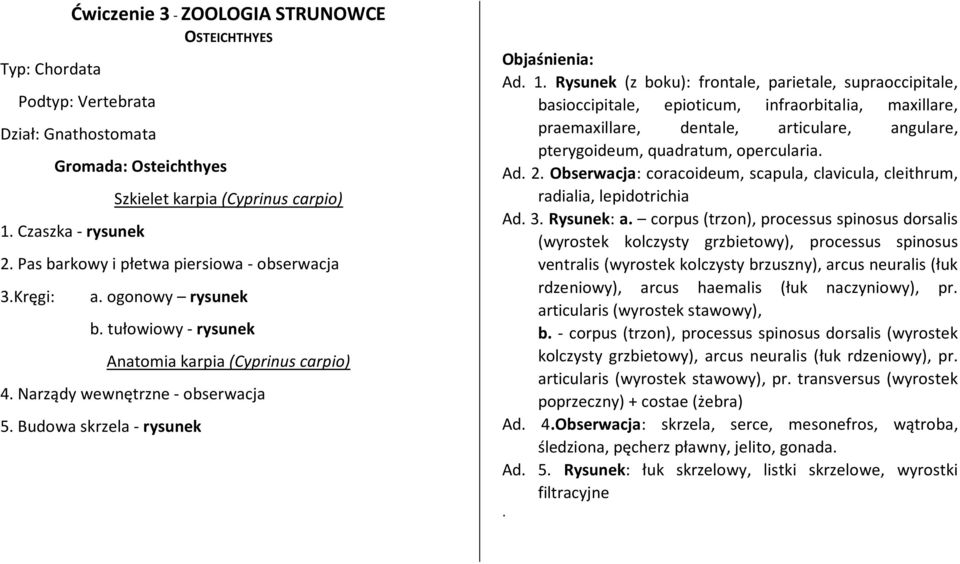 Rysunek (z boku): frontale, parietale, supraoccipitale, basioccipitale, epioticum, infraorbitalia, maxillare, praemaxillare, dentale, articulare, angulare, pterygoideum, quadratum, opercularia. Ad. 2.