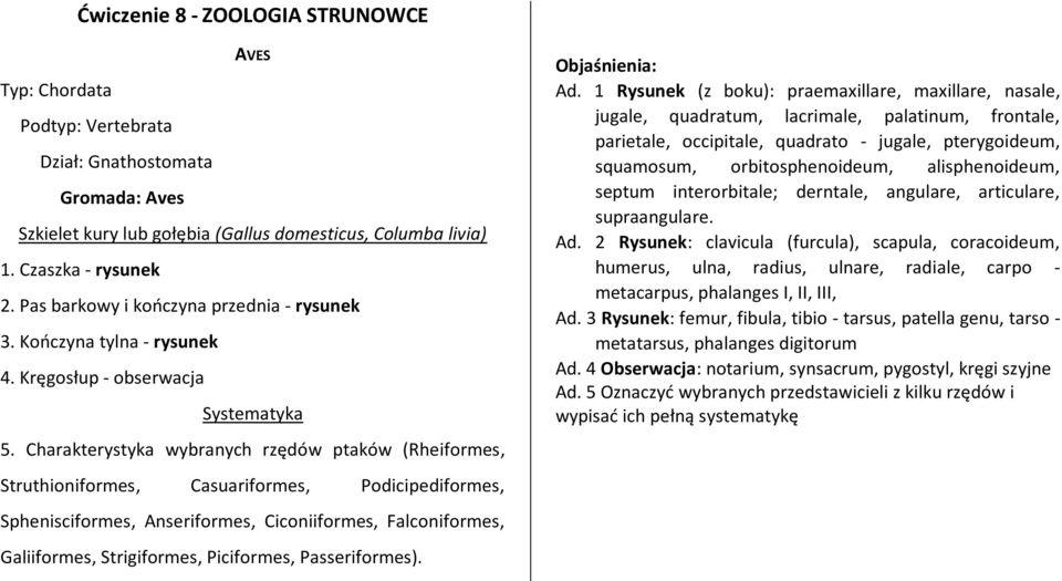 Charakterystyka wybranych rzędów ptaków (Rheiformes, Struthioniformes, Casuariformes, Podicipediformes, Sphenisciformes, Anseriformes, Ciconiiformes, Falconiformes, Galiiformes, Strigiformes,
