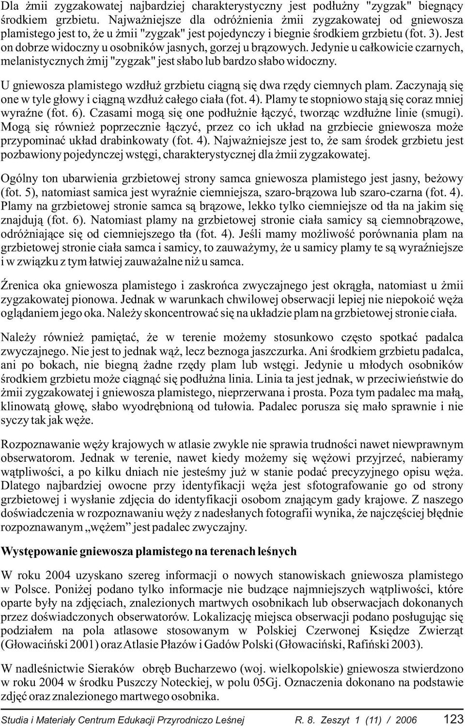 Jest on dobrze widoczny u osobników jasnych, gorzej u br¹zowych. Jedynie u ca³kowicie czarnych, melanistycznych mij "zygzak" jest s³abo lub bardzo s³abo widoczny.