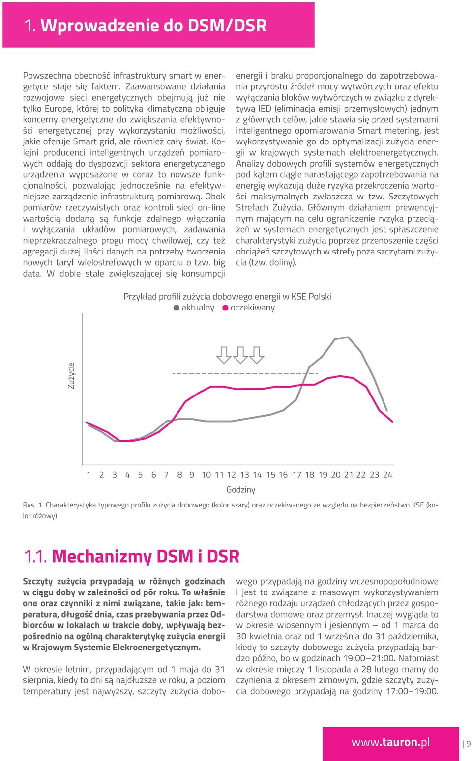 wykorzystaniu możliwości, jakie oferuje Smart grid, ale również cały świat.