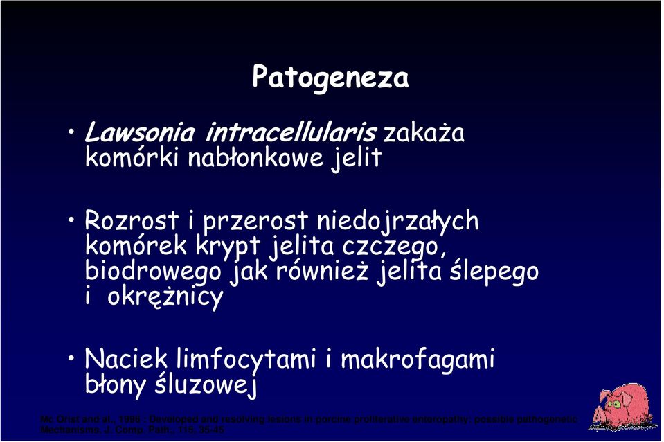 Naciek limfocytami i makrofagami błony śluzowej Mc Orist and al.