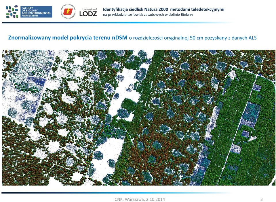 oryginalnej 50 cm pozyskany z danych Numeryczny model terenu