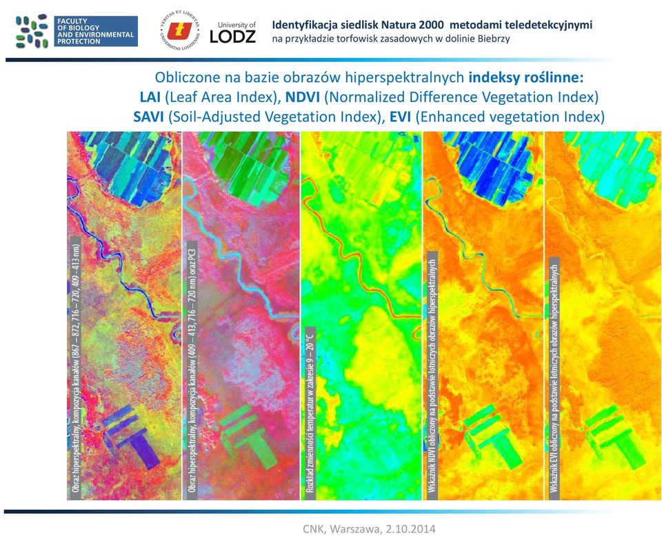 (Normalized Difference Vegetation Index) SAVI