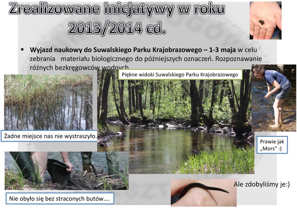 Rozpoznawanie różnych bezkręgowców wodnych.